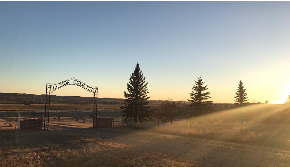 Hillside Gate